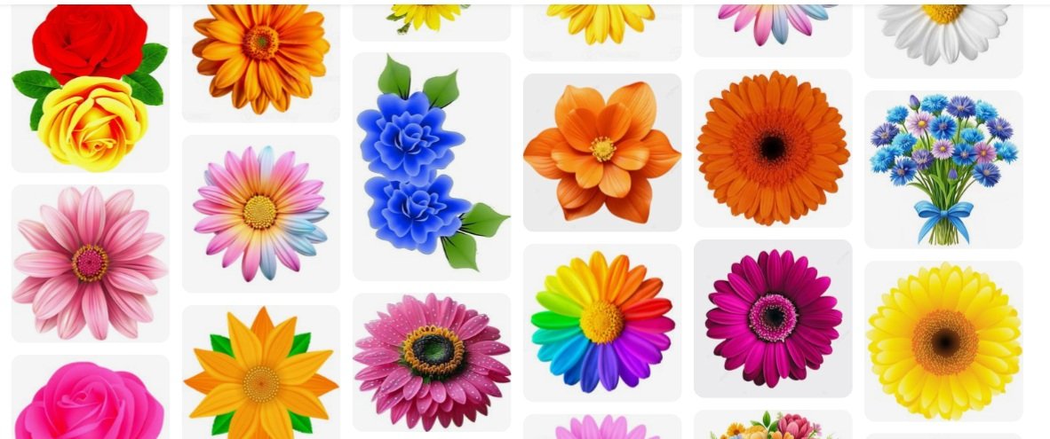 Flower Clipart