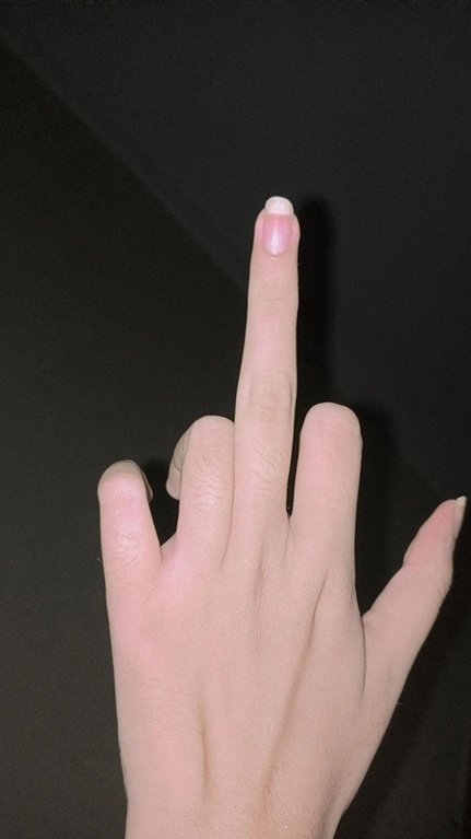One Girl 15 Hands
